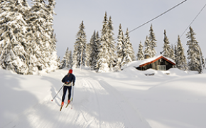 Flest nye hytter i store fritidsbyggområder