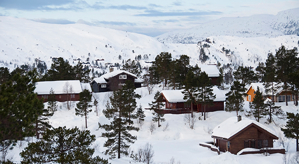 hyttegrend1 hyttegrend1