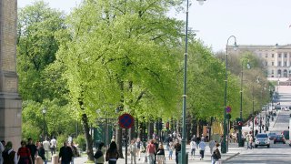 Karl Johans gate i Oslo.