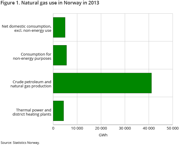 Figure 1. Natural gas use in Norway in 2013