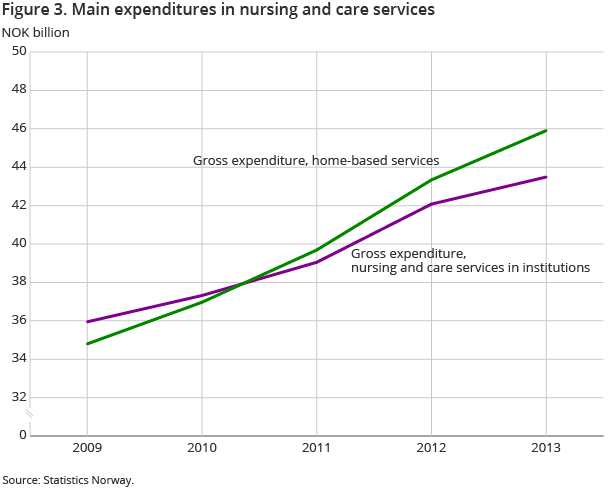 Figure 3. Main expenses in nursing and care services
