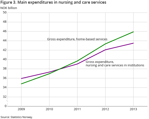 Figure 3. Main expenses in nursing and care services Figure 3. Main expenses in nursing and care services
