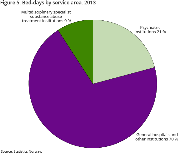 Figure 5. Bed-days by service area. 2013