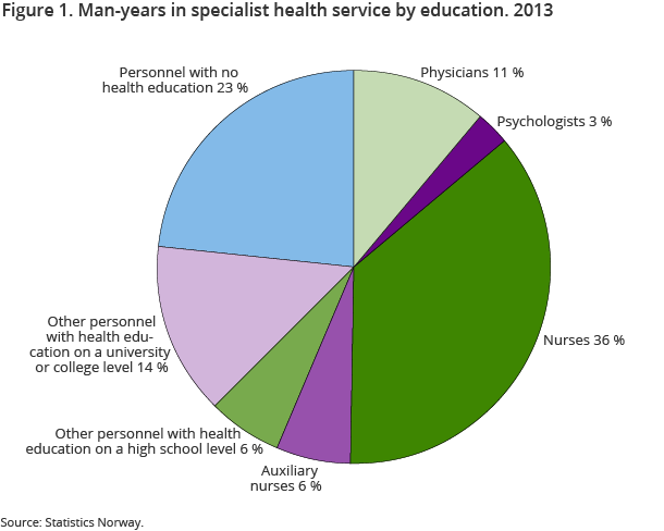 Figure 1. Man-years in specialist health service by education. 2013