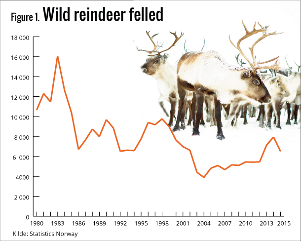 Figure 1. Wild reindeer felled