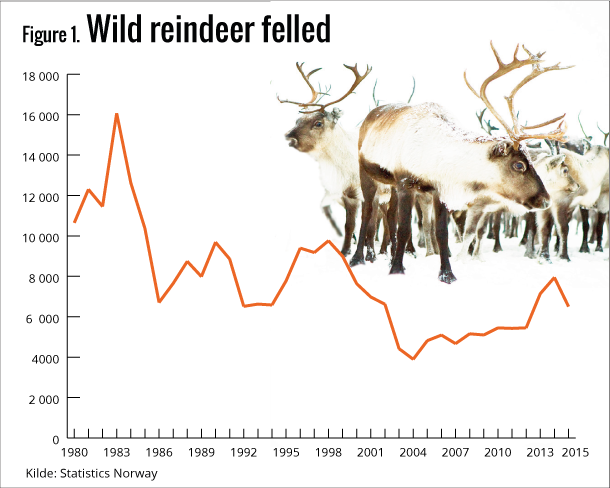 Figure 1. Wild reindeer felled Figure 1. Wild reindeer felled