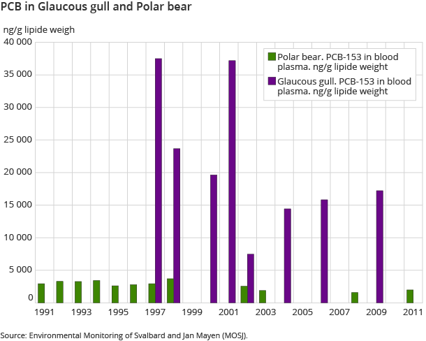 PCB in Glaucous gull and Polar bear