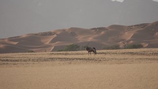 Landskapsbilde fra Namibia