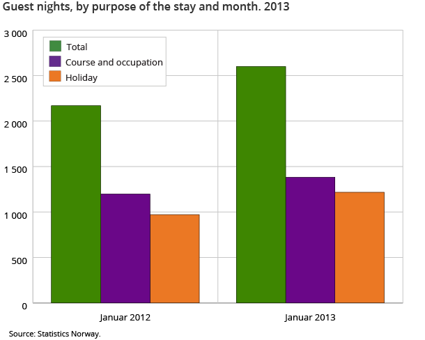 Guest nights, by purpose of the stay and month. 2013