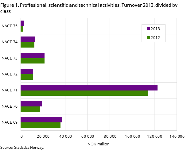 Figure 1. Proffesional, scientific and technical activities. Turnover 2013, divided by class