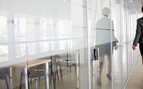 Most enterprises were sole proprietorships and private limited companies