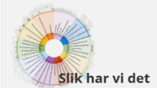 Illustrasjonsfigur av områdene som måles for å si noe om livskvalitet