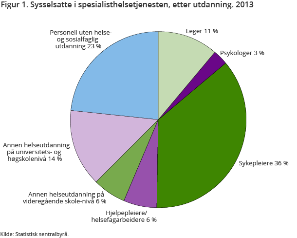 Figur 1. Sysselsatte i spesialisthelsetjenesten, etter utdanning. 2013 Figur 1. Sysselsatte i spesialisthelsetjenesten, etter utdanning. 2013