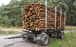 Elverum og Kongsvinger hadde størst hogst