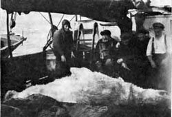 Bilde av isbjørnfangst på Franz Josef Land 1920 Bilde av isbjørnfangst på Franz Josef Land 1920