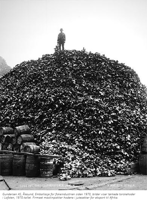 Fiskehodebilde Fiskehodebilde