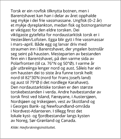 Ramme1