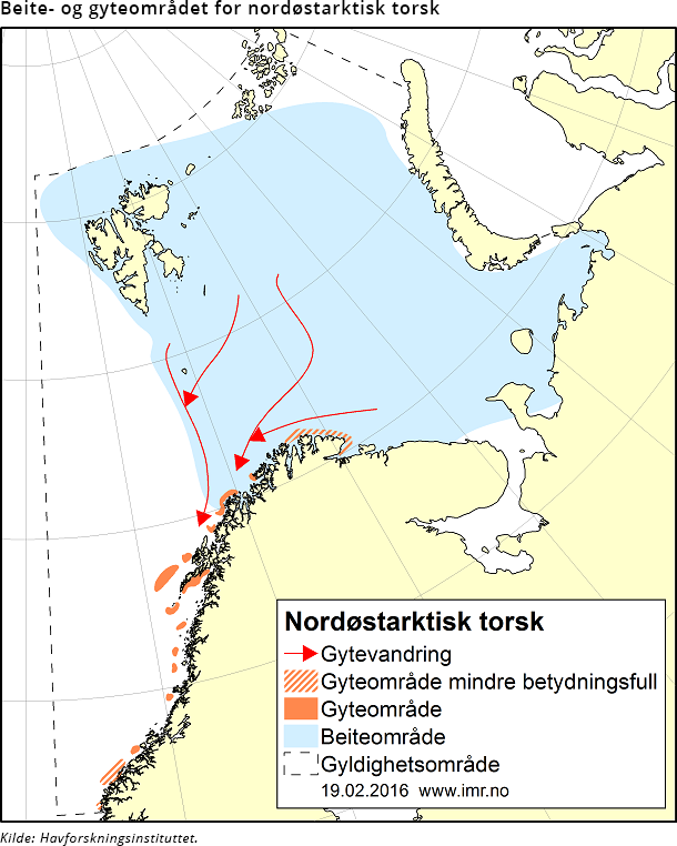 Figur 5. Beite- og gyteområdet for nordøstarktisk torsk Figur 5. Beite- og gyteområdet for nordøstarktisk torsk