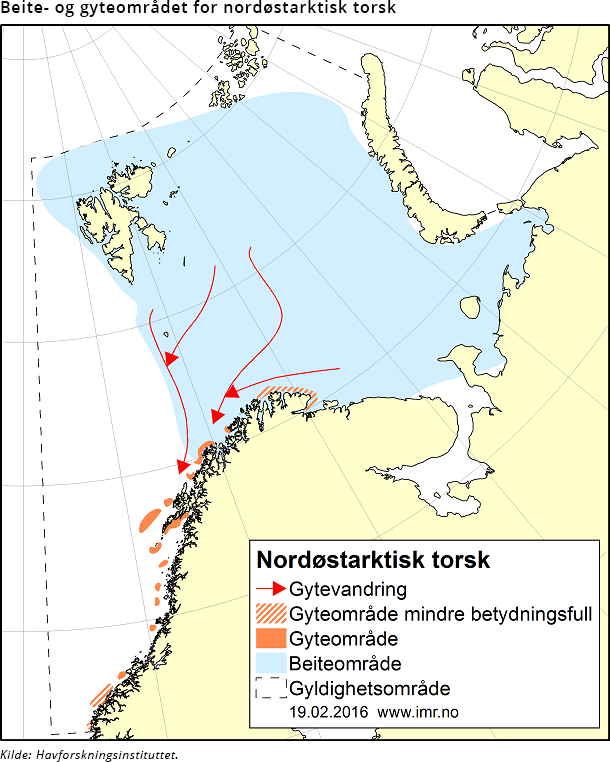 Figur 5. Beite- og gyteområdet for nordøstarktisk torsk