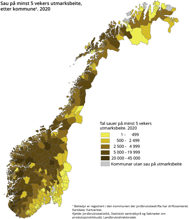 Figur 2. Sau på minst 5 vekers utmarksbeite, etter kommune. 2020