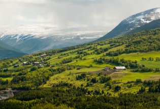 Jordbruksareal i dalen.