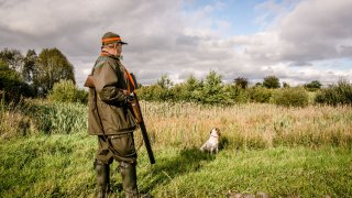 Jeger med hund i åpent terreng ved åker