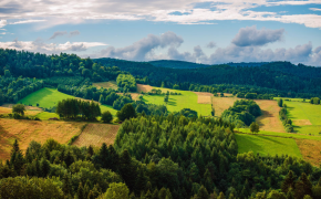 Fleire arbeidstimar per gardsbruk