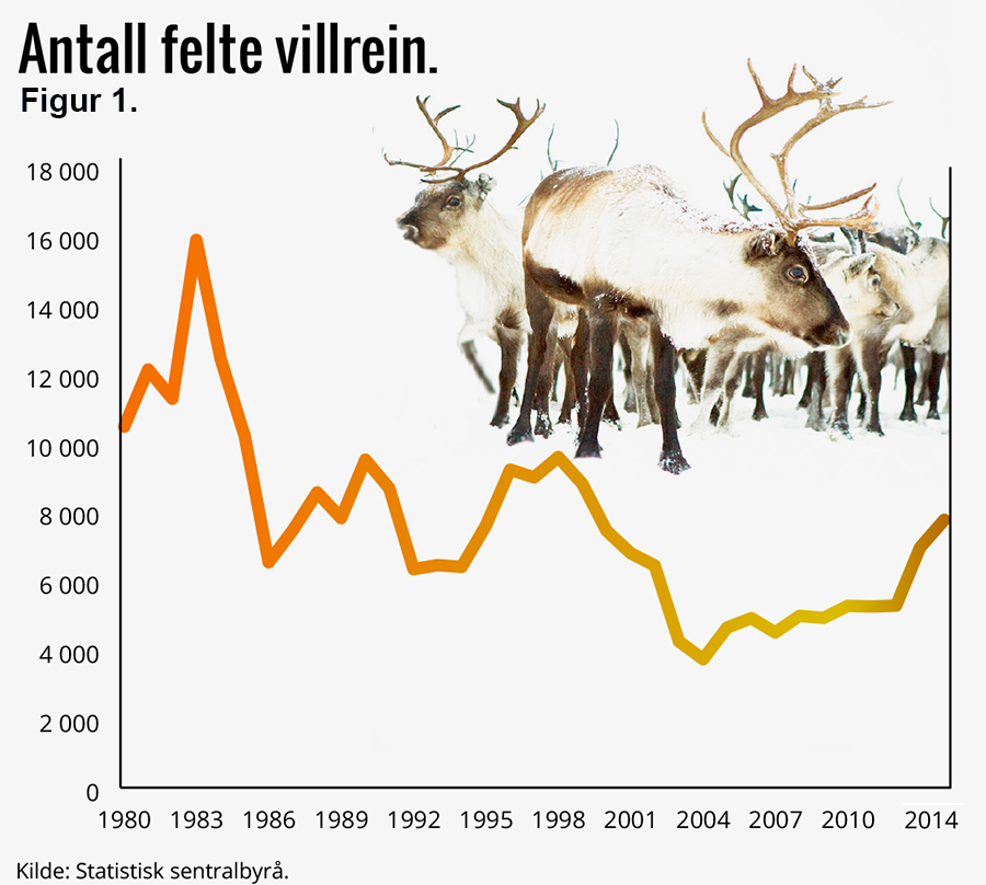 Antall felte villrein