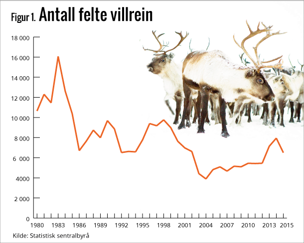 Figur 1. Antall felte villrein