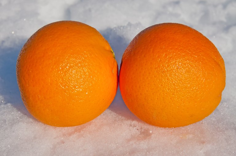 Appelsiner i snø