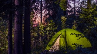 Illustrasjonsfoto av telt i skogen.