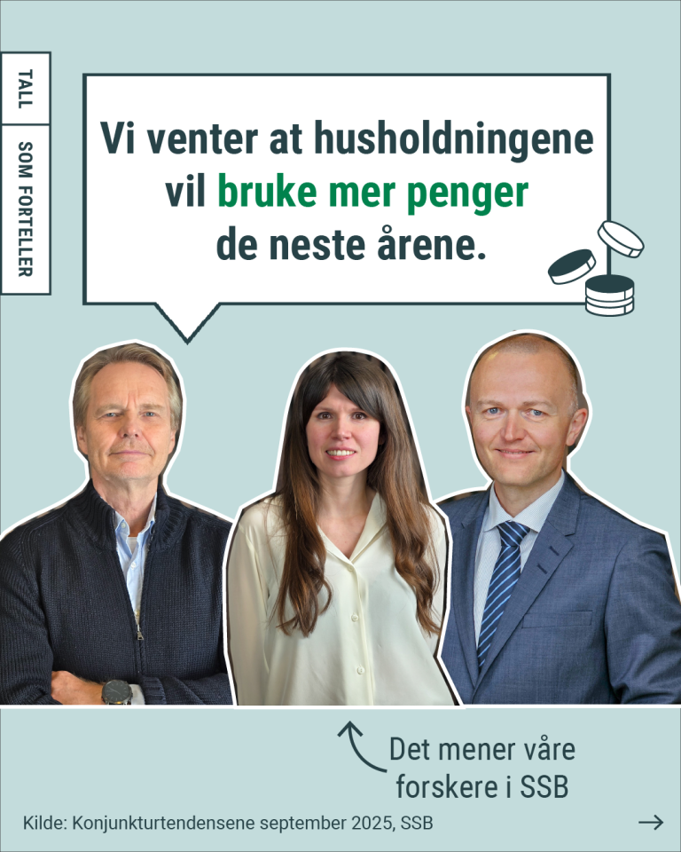 Vi venter at husholdningene vil bruke mer penger de neste årene.