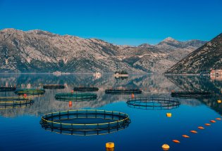 Anlegg for fiskeoppdrett i fjord ved fjell