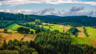 Skogslandskap og åkre.