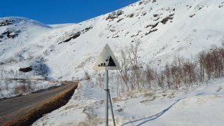 Rasfare-skilt ved bratt fjellside.