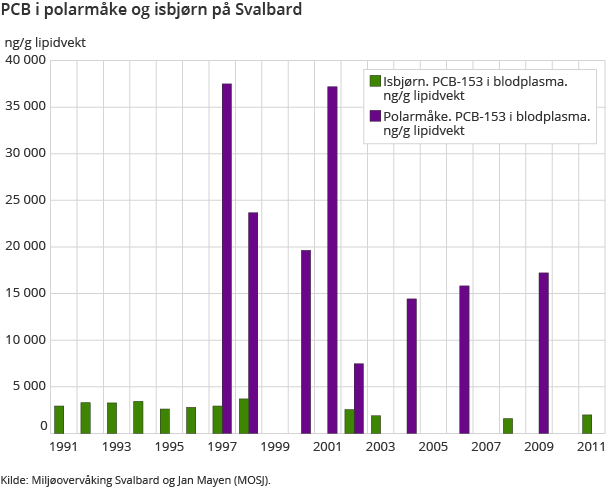 PCB i polarmåke og isbjørn på Svalbard