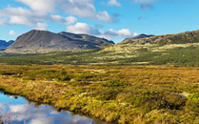 Skog, fjell og vidde dominerer