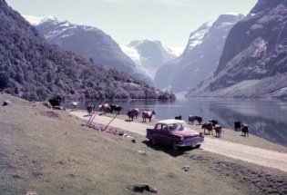 Bil på veien ved Loenvatn i Nordfjord