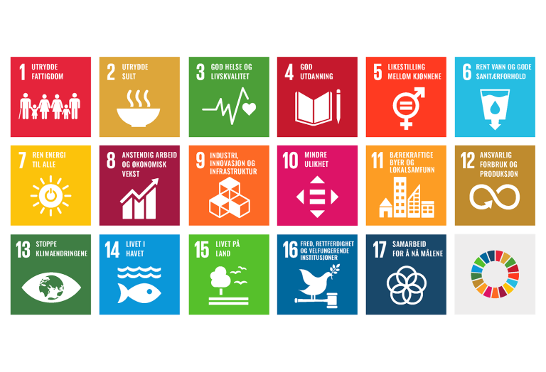 Illustrasjon av FNs 17 bærekraftsmål: 1. Utrydde fattigdom, 2. Utrydde sult, 3. God helse og livskvalitet, 4. God utdanning, 5. Likestilling mellom kjønnene, 6. Rent vann og gode sanitærforhold, 7. Ren energi til alle, 8. Anstendig arbeid og økonomisk vekst, 9. Industri, innovasjon og infrastruktur, 10,. Mindre ulikhet, 11. Bærekraftige byer og lokalsamfunn, 12. Ansvarlig forbruk og produksjon, 13. Stoppe klimaendringene, 14. Livet i havet, 15. Livet på land, 16. Fred, rettferdighet og velfungerende institusjoner, 17. Samarbeid for å nå målene.