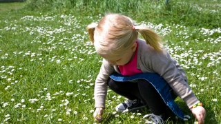Pike med musefletter plukker blomster.