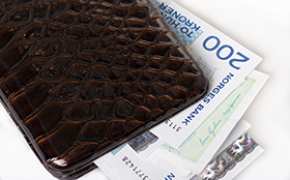 Dyrere tjenester i 2019