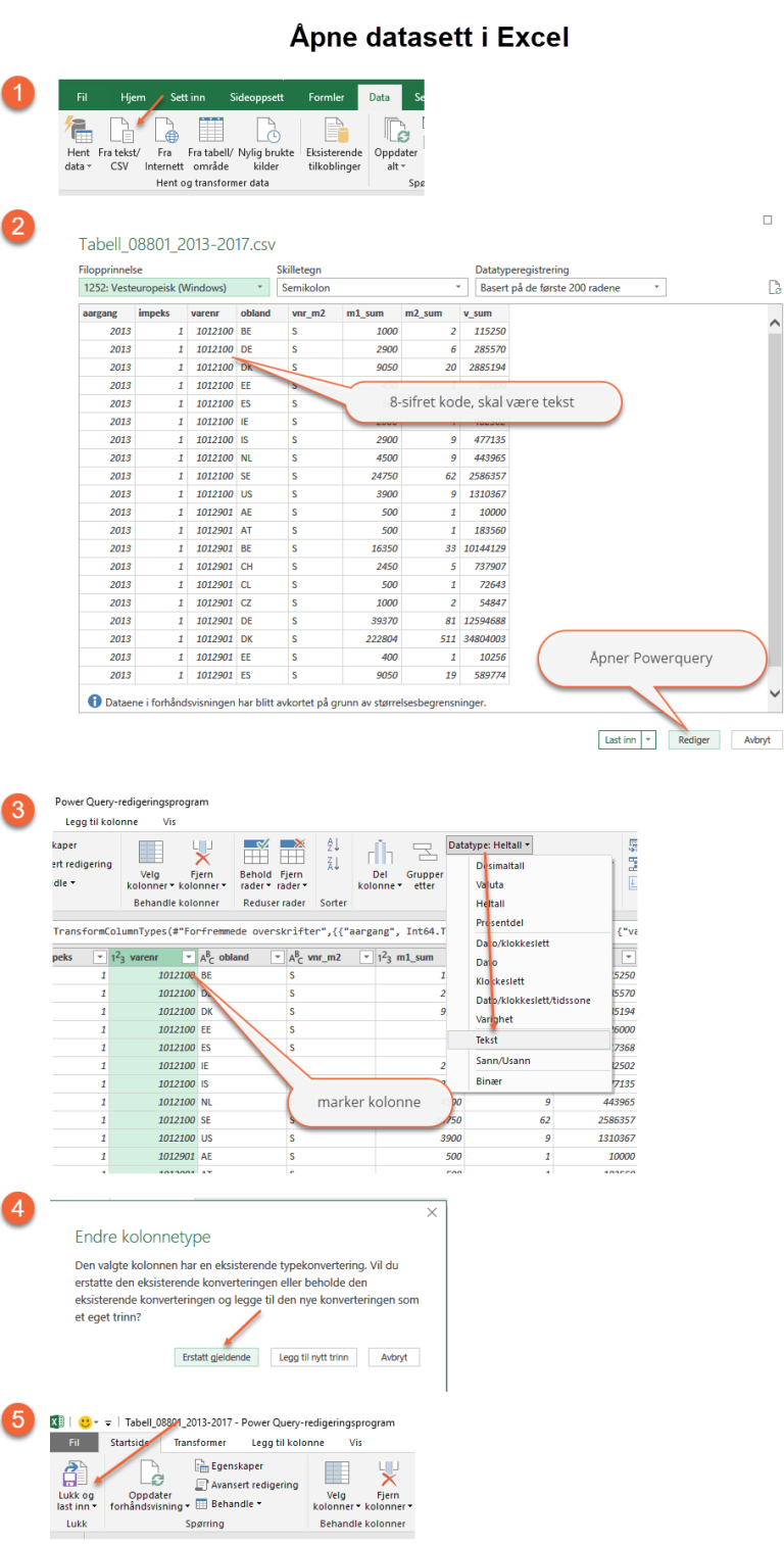 Skjermbilder med veiledning for å åpne datasett i excel.