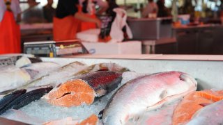 Laks i utsalget på Fisketorget i Bergen