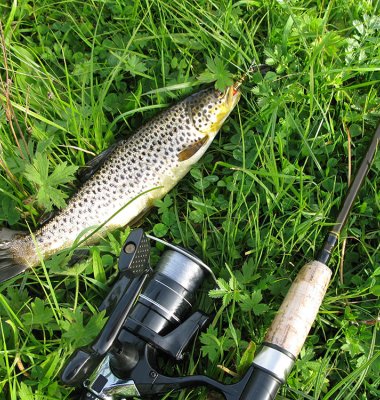 Fisk og fiskestang ligger i grønt gress