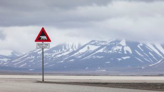 Isbjørnskilt på Svalbard.